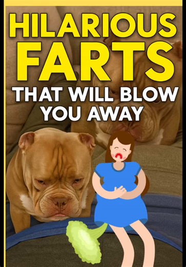 happygagstv on TikTok