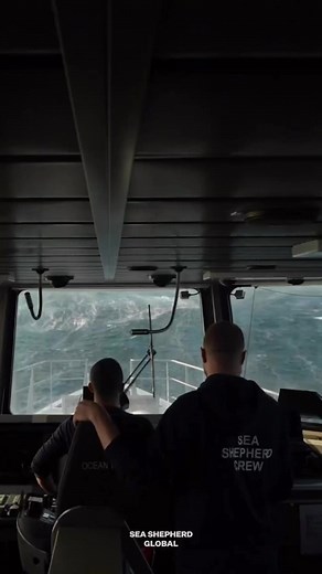 📣 Meet the Sea Shepherd Global fleet 📣 , part of the world’s largest private navy, working on the frontlines of marine conservation all around the world.🏴‍☠️ ⛴️ Our vessels not only keep a tireless eye on the sea, day and night, scouring it for poachers and environmental crime, but also serve as a home for our crews, who are keeping the bad guys in check and our ocean safe. 🙌 By turning the Bob Barker's Facebook page into the Global Fleet page, we are honoring the incredible legacy of this l