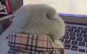 Access操作题实验1合集