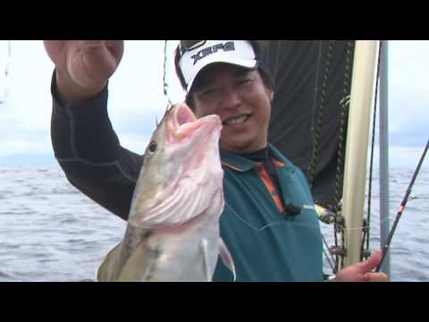 【釣り百景】#145 夏のタラ釣り 日本海でスロー系ジギングを満喫！