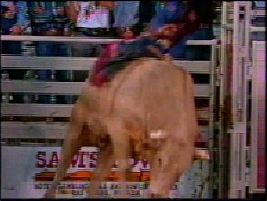 [Vintage VHS] Bodacious: The Master of Disaster