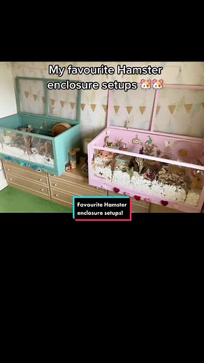 Favourite Pawhut enclosure setups 😍 #pawhut #pawhutcage #pawhuthamstercage #hamstercage #hamsterenclosure