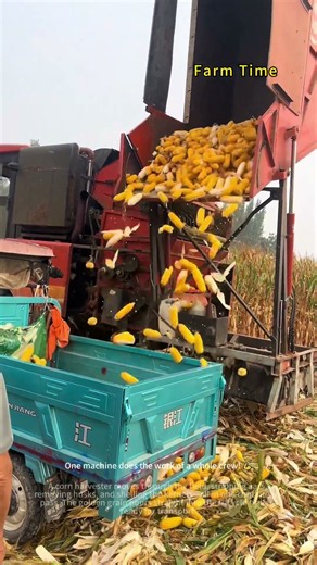 With This Corn Harvester, Harvesting Is So Much Easier! 🌽🚜