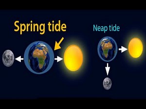 spring tides and neap tides| spring tides and neap tides diagram| spring and neap tides explained