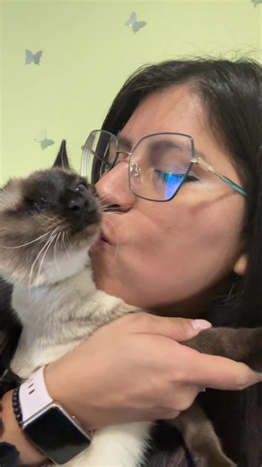 Mi sueño rebelde 🙌🏽Kira 🙌🏽😻como ella ninguna 🫶🏽🫶🏽🫶🏽#livethemoment #lovecats #amorgatuno #yolovivo #lovemylife❤️