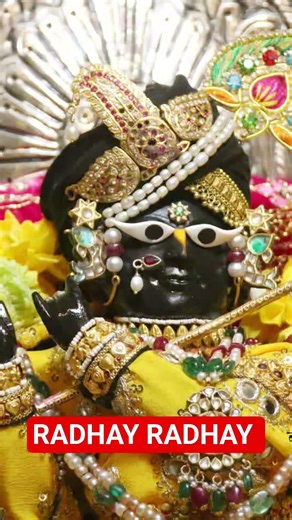 Radha Radha #vrindavan #radhakrishna #premanandjimaharaj