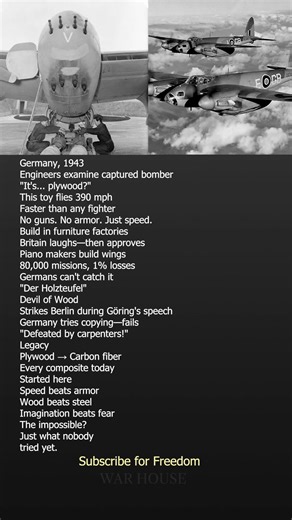The Wooden Plane Germany Couldn’t Stop! #worldwarii #history