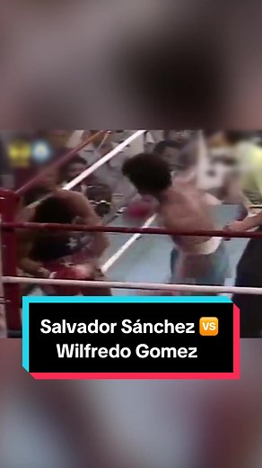 El impresionante knockout de Salvador Sánchez