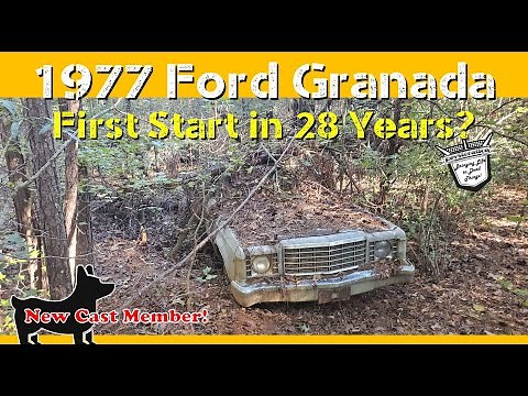 1977 Ford Granada Abandoned in Woods: First Start in 28 Years? Will It Start?