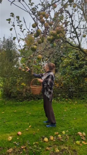 From farm to table 🍎✨ Our cooking apples made their journey from tree to crumble - with a little help from the lovely @wildflower_holistic_kitchen 🤍 Apple Base Ingredients: 4–5 cooking apples, peeled and chopped 1 tsp ground cinnamon ½ tsp ground cloves ½ tsp ground ginger ¼ tsp ground nutmeg 50g syrup Method: 1. Place the apples in a saucepan with the spices and syrup. 2. Gently stew over low heat for about 15 minutes, until the apples soften but still hold their shape. 3. Transfer to a large