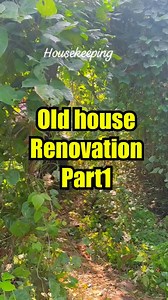 Housekeeping #bestmovie #entertainment #follower #best #survival #movieclips #followforfollowback #bushcraft #millionaire #model | Wild Camp Bushcraft