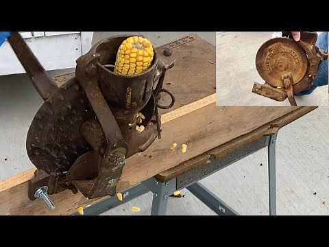 Using an antique corn sheller for corn. The Run Easy Corn Sheller in Action