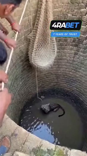 kiran wakade on Instagram: "Leopard Water Lunge — Panic Step Back Ends in Splash!  The leopard lunges upward from the water, splashing muddy waves over the rim. Villagers panic and step back together, the soft edge collapses, and all slide into the well in seconds. #leopardlunge #panicmoment #rescuefail #shorts"
