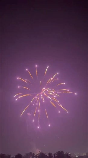 4” Display Shell (Sonny Fireworks) One After Another . 1. Evergreen , 2. Violet Titanium