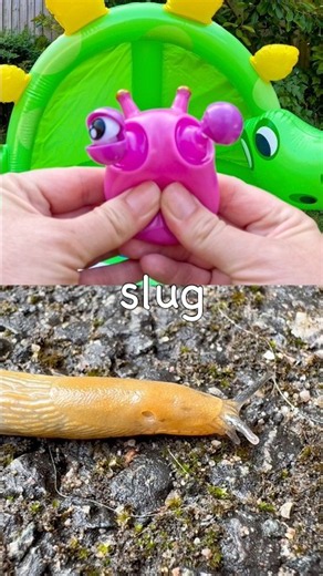 Toy Learning Fun | Kids Learn Bug Insect Names at the Dino Pool: Scarab Beetle Slug Rhino Beetle