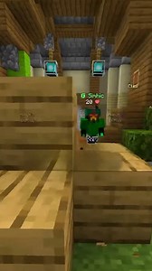 Recommended Minecraft SMP servers for group play