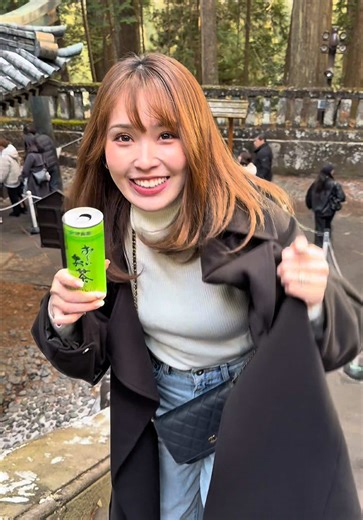 日光東照宮で初詣を楽しむ