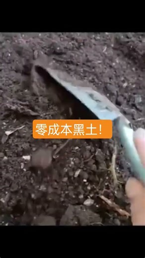 Stop buying potting soil! Use kitchen waste and dried leaves, and your potting soil will become m...