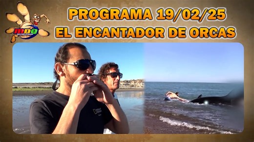 En busca del encantador de orcas, Roberto Bubas - Programa completo de MDQ del 19/02/25