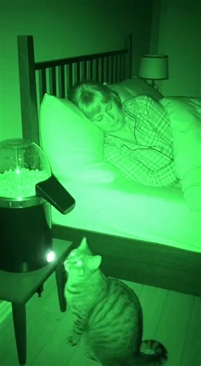 Cat Makes a Late-Night Popcorn Feast While Owner Sleeps 😂🐱🍿 The house is quiet. His female owner is fast asleep. 😴 That’s when the cat decides it’s time for a midnight popcorn feast. Crunching, tossing kernels in the air, and making a dramatic snack setup — all while the owner somehow sleeps through the late-night munching madness. 😂 No sharing. All snacks. Maximum crunch. 👍 LIKE if you love midnight snacks 💬 COMMENT your go-to late-night treat 🔔 SUBSCRIBE for more chaotic cat moments! #