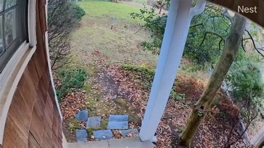 No Ben, no! ☝️ | Jake Bowen