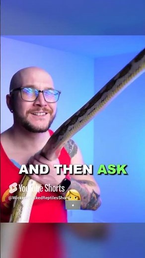 Why is Your Pet Snake Trying to Bite You!?