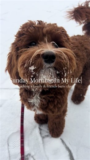 Join My Friends and Family for a Sunday Barre Class