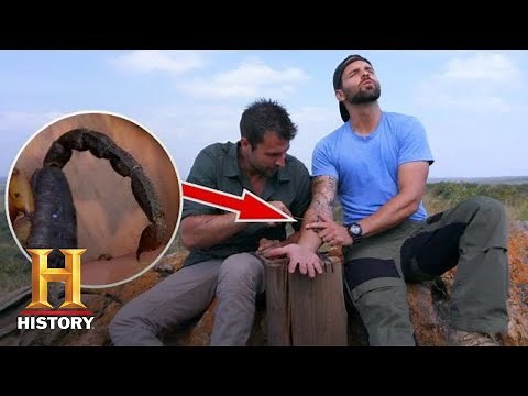 STUNG BY TWO NASTY SCORPIONS! | Kings of Pain (Season 1) | History