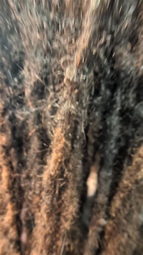 An Afro-American bun is a bun created with natural Afro-textured hair, which can range from a classic, sleek bun to a more voluminous, puffed-out style. The look is highly versatile and can be shaped in many ways, including a simple, high bun, a messy bun, or a low bun, with variations in volume, texture, and placement. #hair #locs #braids #dreads #dreadstyles #naturalhair #wonderlocks #retwist #explorepage #freshlocs | Freshlocs