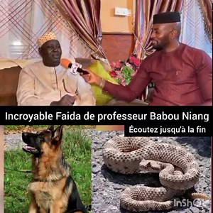 2.2M views · 57K reactions | Faida très très intéressant de professeur Babou Niang écoutez jusqu'à la fin | Média A | Facebook