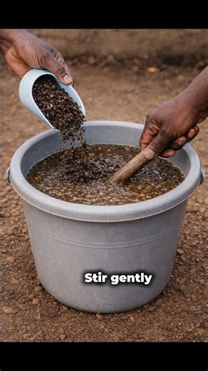 How to Make Compost Tea (The Right Way)