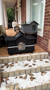 1.8M views · 784 reactions | Just ordered a bunch of stuff from Temu I can't believe how cheap it was. Totally impressed. #BudgetBuys #TemuFinds #RetailTherapy | Must good | Facebook