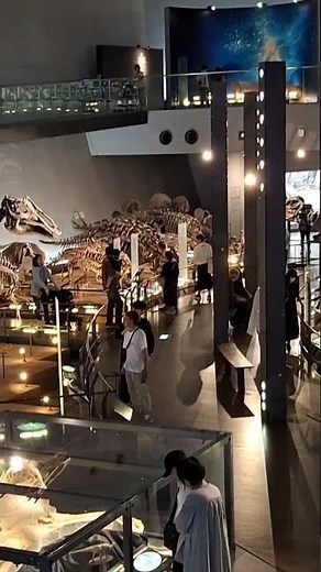 福井県立恐竜博物館 レストラン
