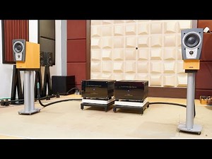 Dynaudio C1 + Electrocompaniet Nemo 🔊 On Demo 🔊