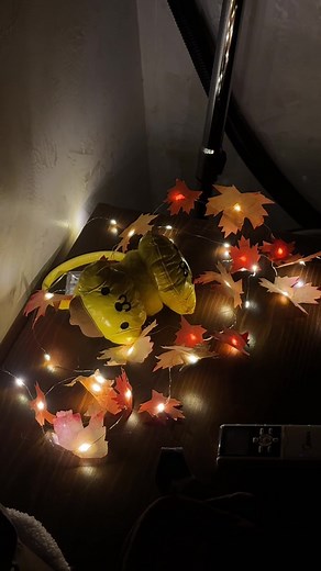 DIY Fall Room Decor Ideas for a Cozy Home