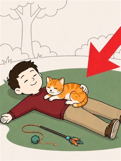 Psychology of How Cats Feel Your Love (10 Ways To Show It Daily) #CatLovers #CatsOfTikTok #CatBehavior #PetPsychology #CatCare