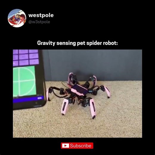 Check out this cool little pet spidey robot! #shorts