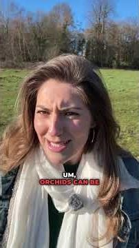 The truth about #aphrodesiacs on #valentinesday with ‪@eatthecountry‬