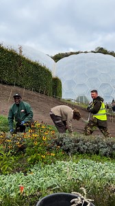 25K views · 259 reactions | 10,000 BULBS WILL BURST INTO A...