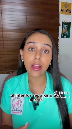 ¿Por qué los perros se quedan pegados y cómo manejarlos?