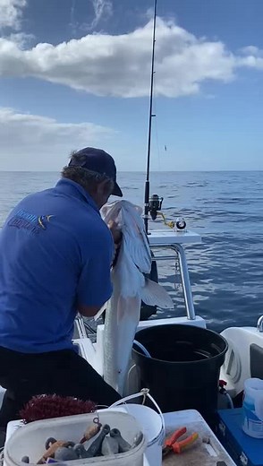 Fishing Charter: Catching a Majestic Fish