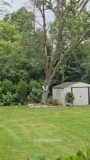 This Florida girl has always loved palm trees. Like, I just see one… and I exhale a little deeper. Anyone else? But recently I learned something about palm trees that made me stop and whisper, “God, you really do think of everything.” We all know that palm trees don’t snap in hurricanes. They bend, lean low (sometimes nearly horizontal!), but they rise again when the storm passes. But here’s what undid me: It’s not just their flexibility. It’s their roots. Palm trees intertwine their roots with 