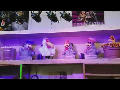 ANIMATRONIC CHICKENS - At the Hop