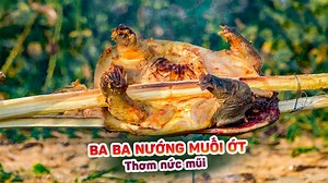 321K views · 86 reactions | Khám phá làng nuôi ba ba ở Tây Ninh và...