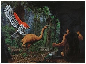 Harpagornis moorei VS Leopardo árabe