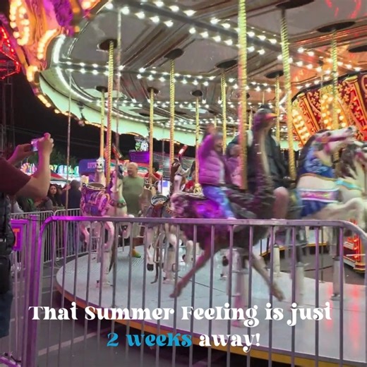6.2K views · 21 reactions | The BEST feeling? That Summer Feeling!  Less than 2 weeks away from thrilling rides, the BEST Fair food and so much more! Don't miss the Johnny Gill concert and Fireworks on opening night, June 14! | Alameda County Fair | Facebook