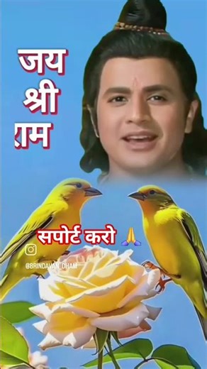 प्लीज इस वीडियो कॉलिंग 🥹👌 #bollywood 👍🙏🙏 #song