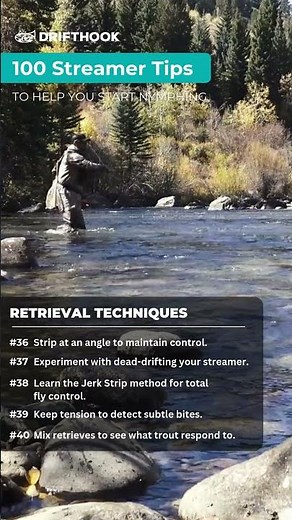 100 Streamer Fly Fishing Tips - Tips 36-40 #Shorts