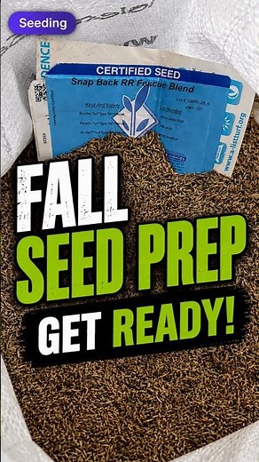 Fall Overseeding to Repair Summer Lawn Damage