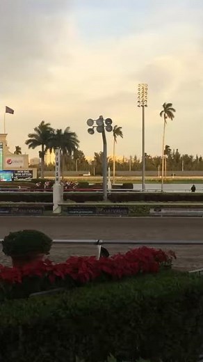 Gulfstream park live